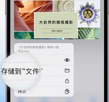 曲沃apple维修中心分享iPhone文件应用中存储和找到下载文件