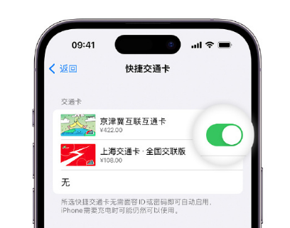 曲沃apple维修点分享iPhone上更换Apple Pay快捷交通卡手绘卡面 