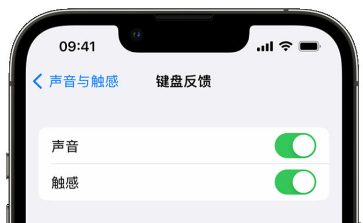 曲沃苹果手机维修分享iPhone 14触感键盘使用方法 