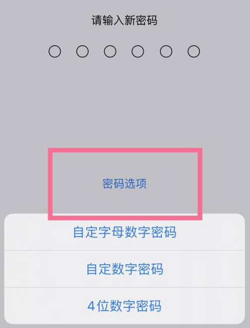 曲沃苹果14维修分享iPhone 14plus设置密码的方法 